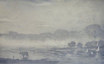 Three Buffalo by angus hampel